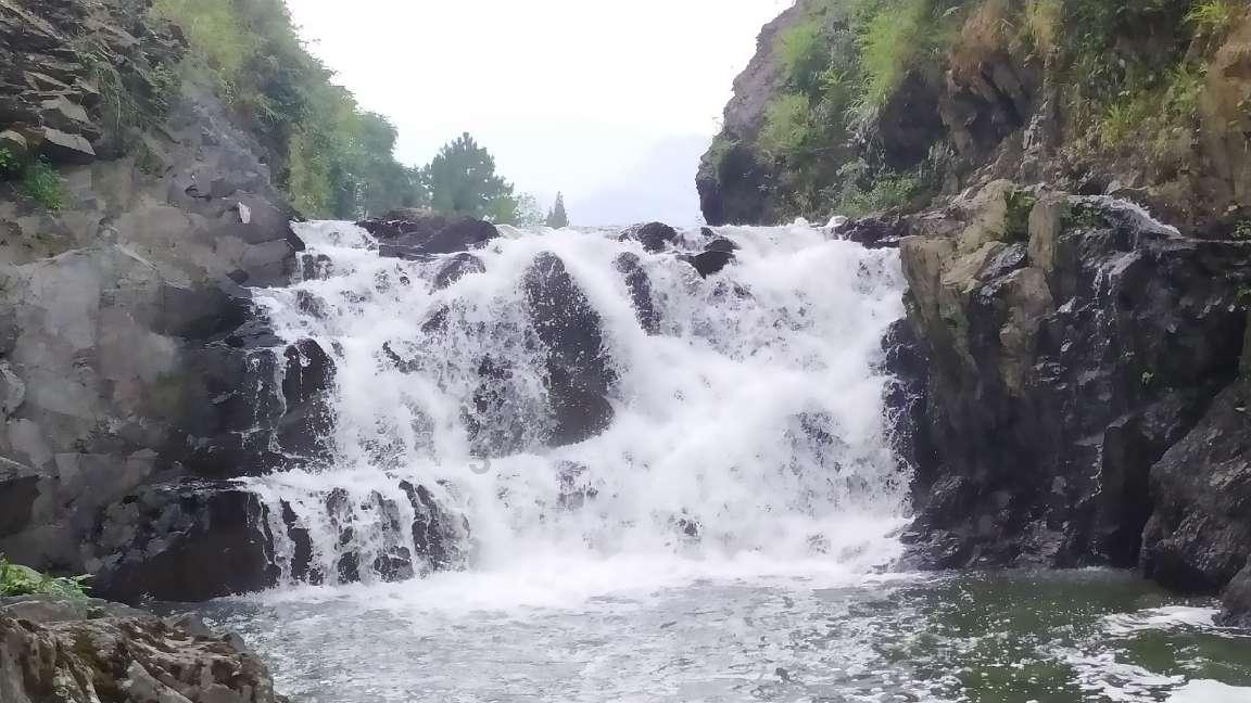 异地手机丢失。服务密码不记得。怎样办理