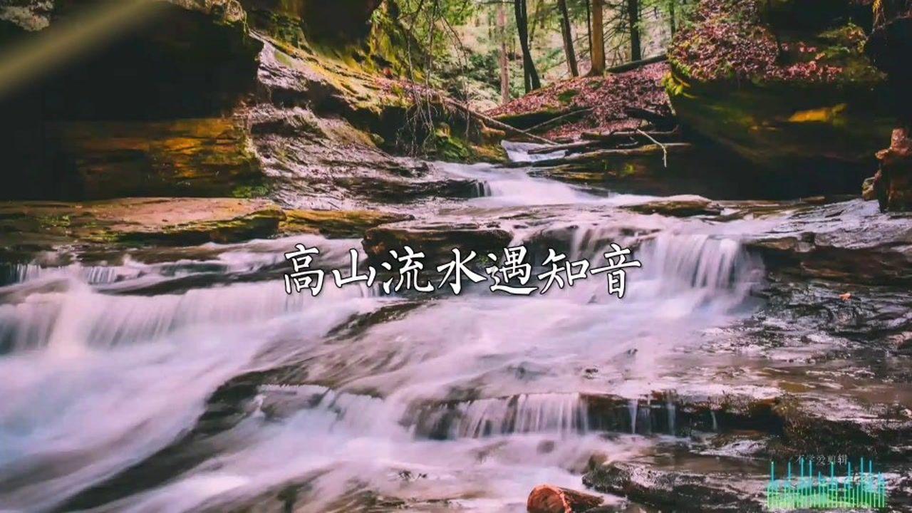 战地5