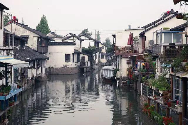 离石公安分局召开“2024春雷行动”打击整治行动推进会